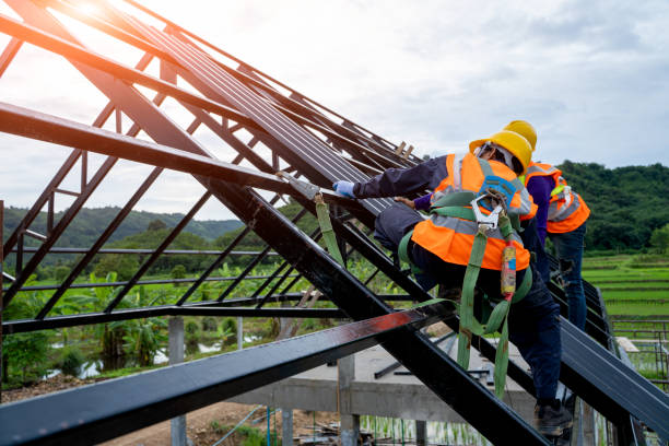 Best Best Roofing Contractors  in River Ridge, FL