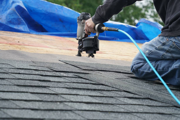Quick and Trustworthy Emergency Roof Repair Services in River Ridge, FL