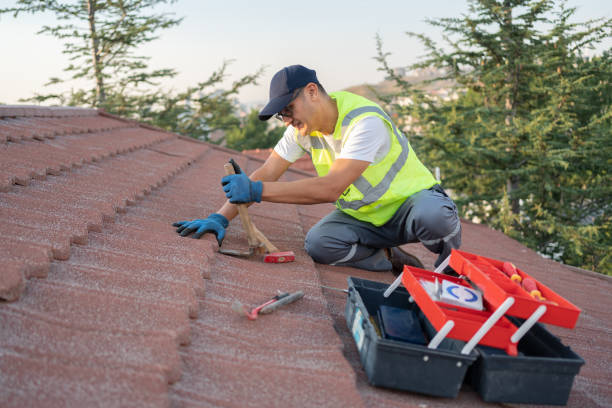 Best Local Roofing Companies  in River Ridge, FL